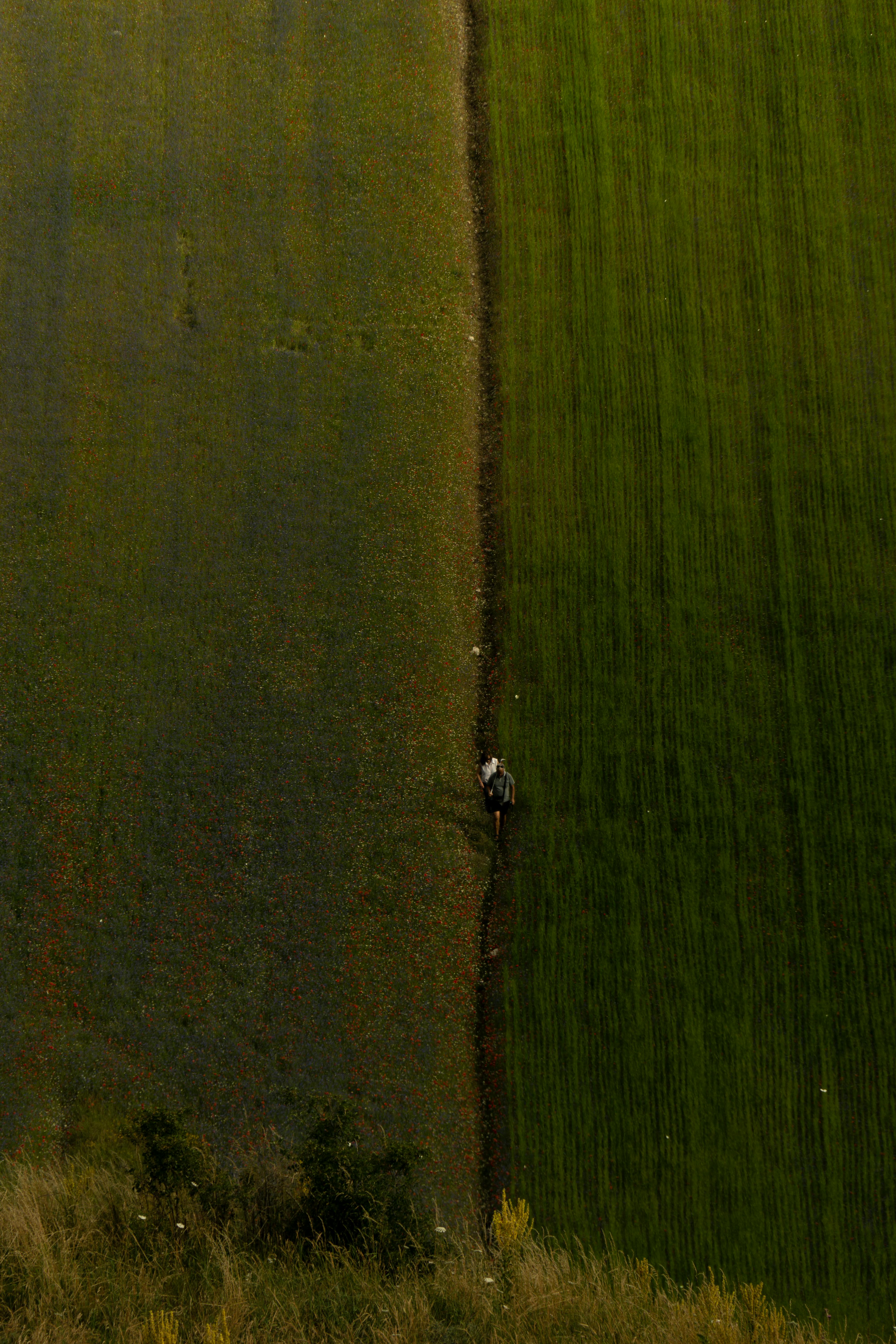 Aerial shot of a person walking between fields in Norcia, Umbria, Italy.