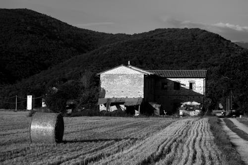 Rural Field and Farm in Black and White