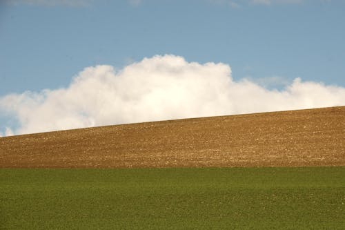 山丘, 景觀, 田 的 免费素材图片