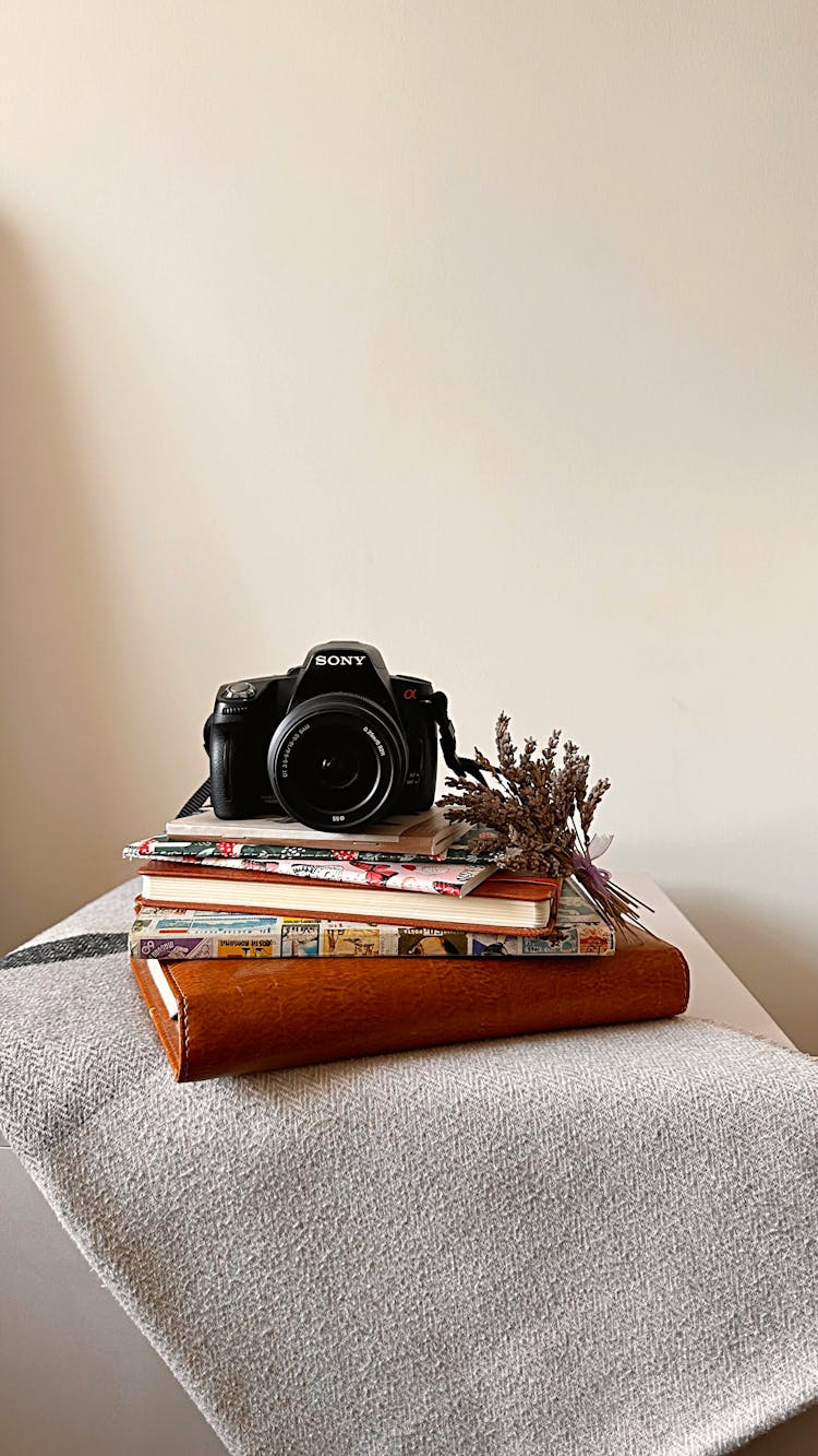 Books, Camera And Plants