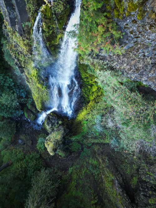 Free Breathtaking aerial view of a vibrant waterfall cascading down lush green cliffs in Oregon's wilderness. Stock Photo