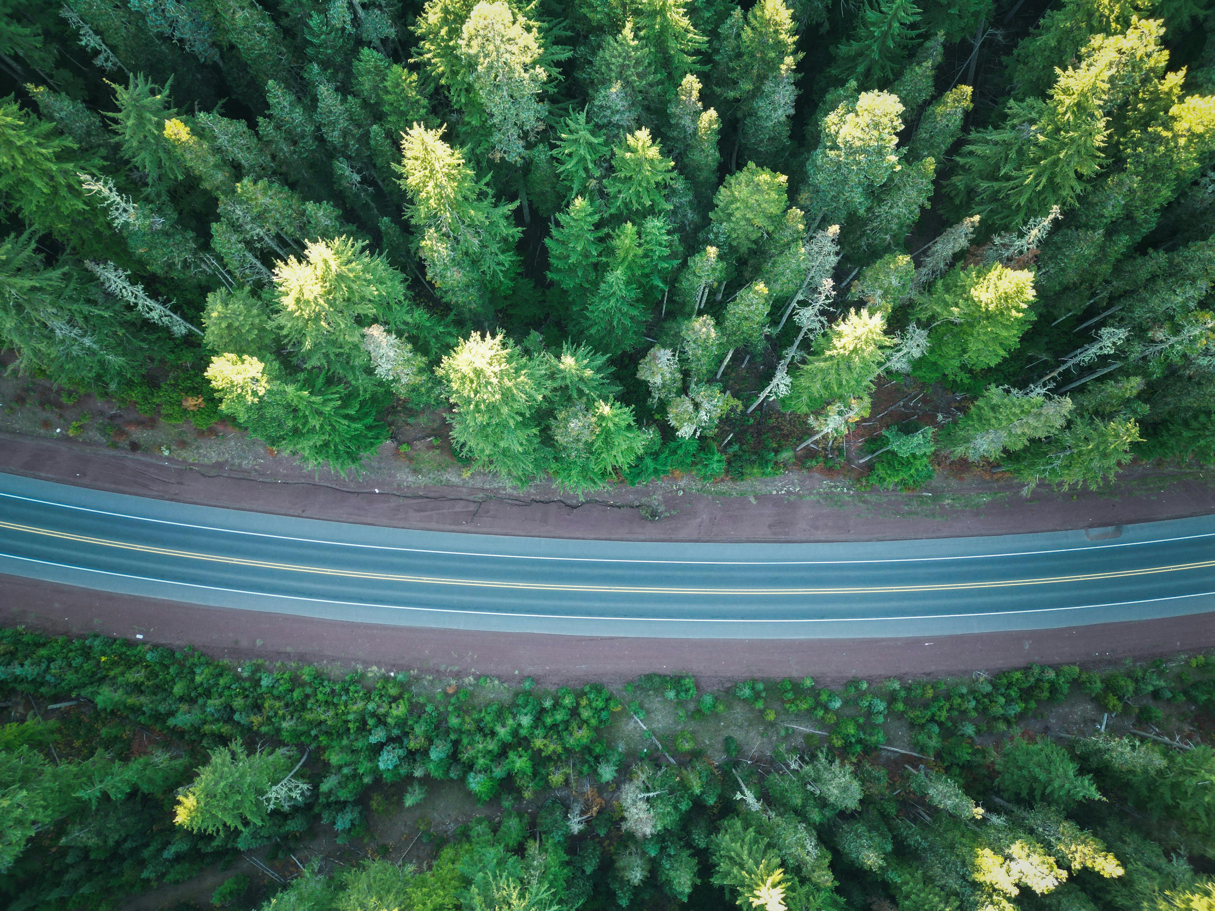 corporate governance esg governance part of esg — Photo by Ertabbt on Pexels