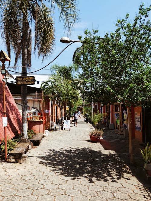 Paving Alley of Urban Market