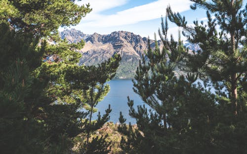 dağ, göl, kozalaklı ağaç içeren Ücretsiz stok fotoğraf
