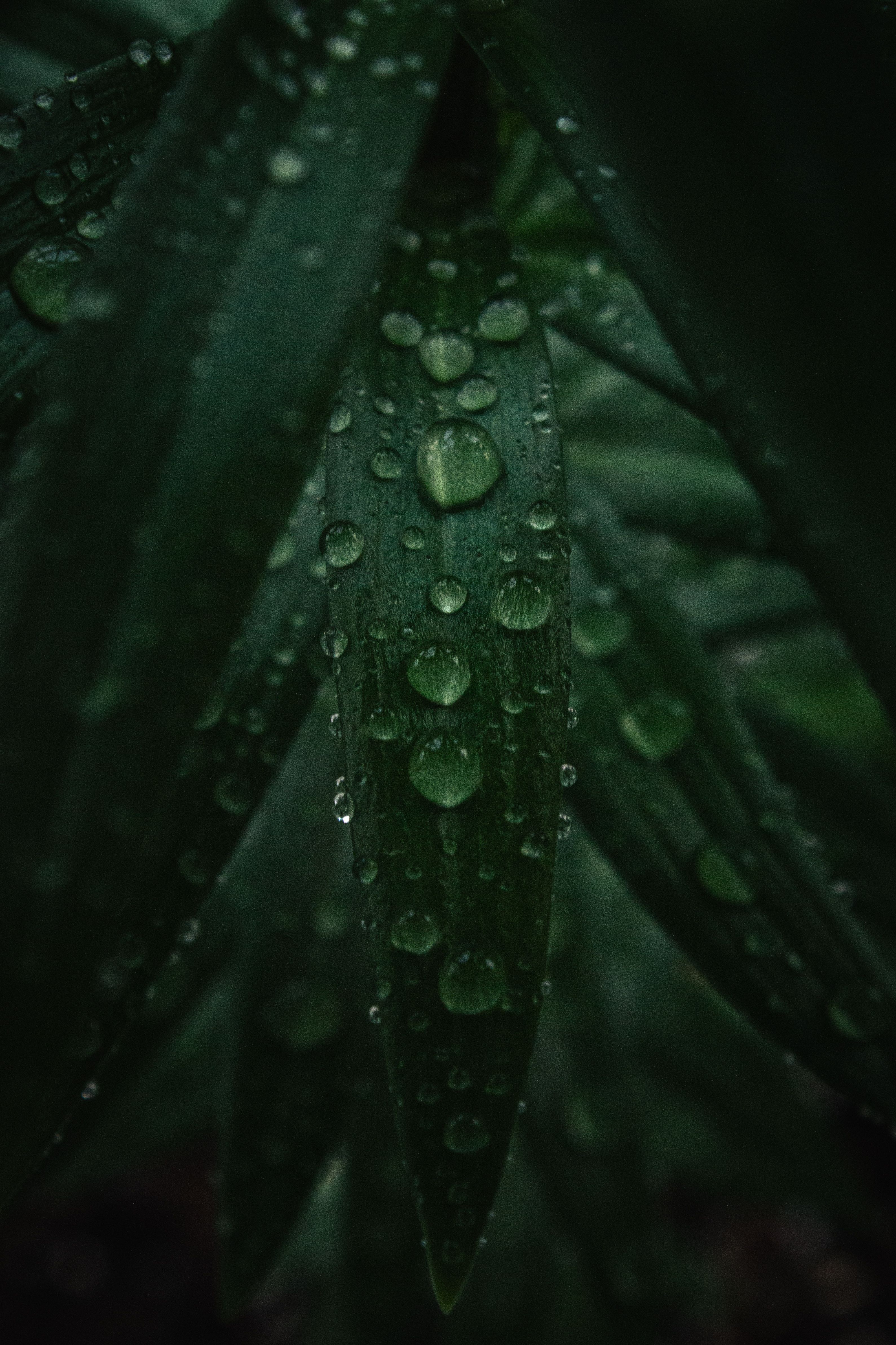 Raindrops on a Wall · Free Stock Photo