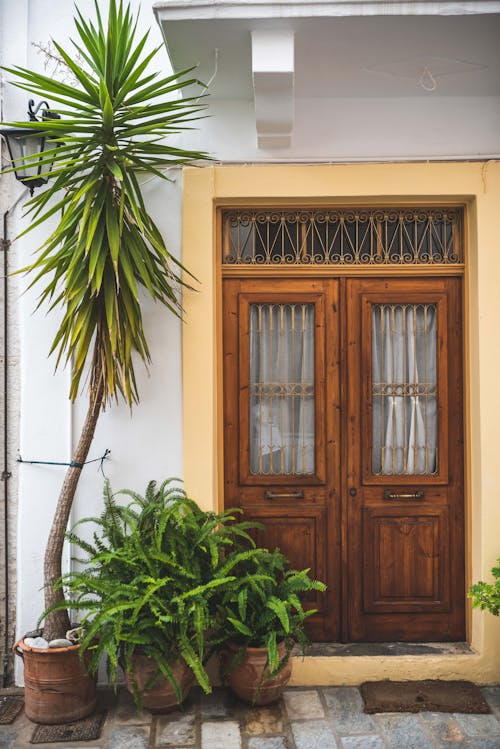 Green Leafed Potted Plants in Front of Doorway