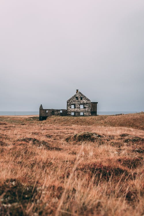 Maison En Béton Gris Dans Le Champ Brun