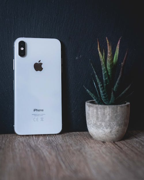 Free stock photo of 2019, apple, design