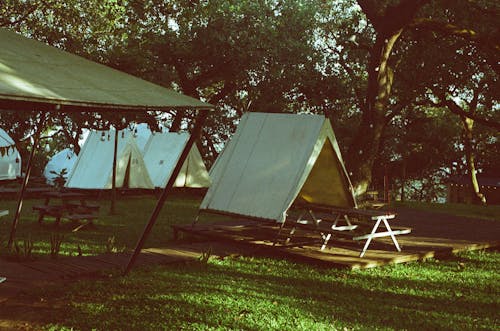 Kostnadsfri bild av campingplats, fritid, gräs