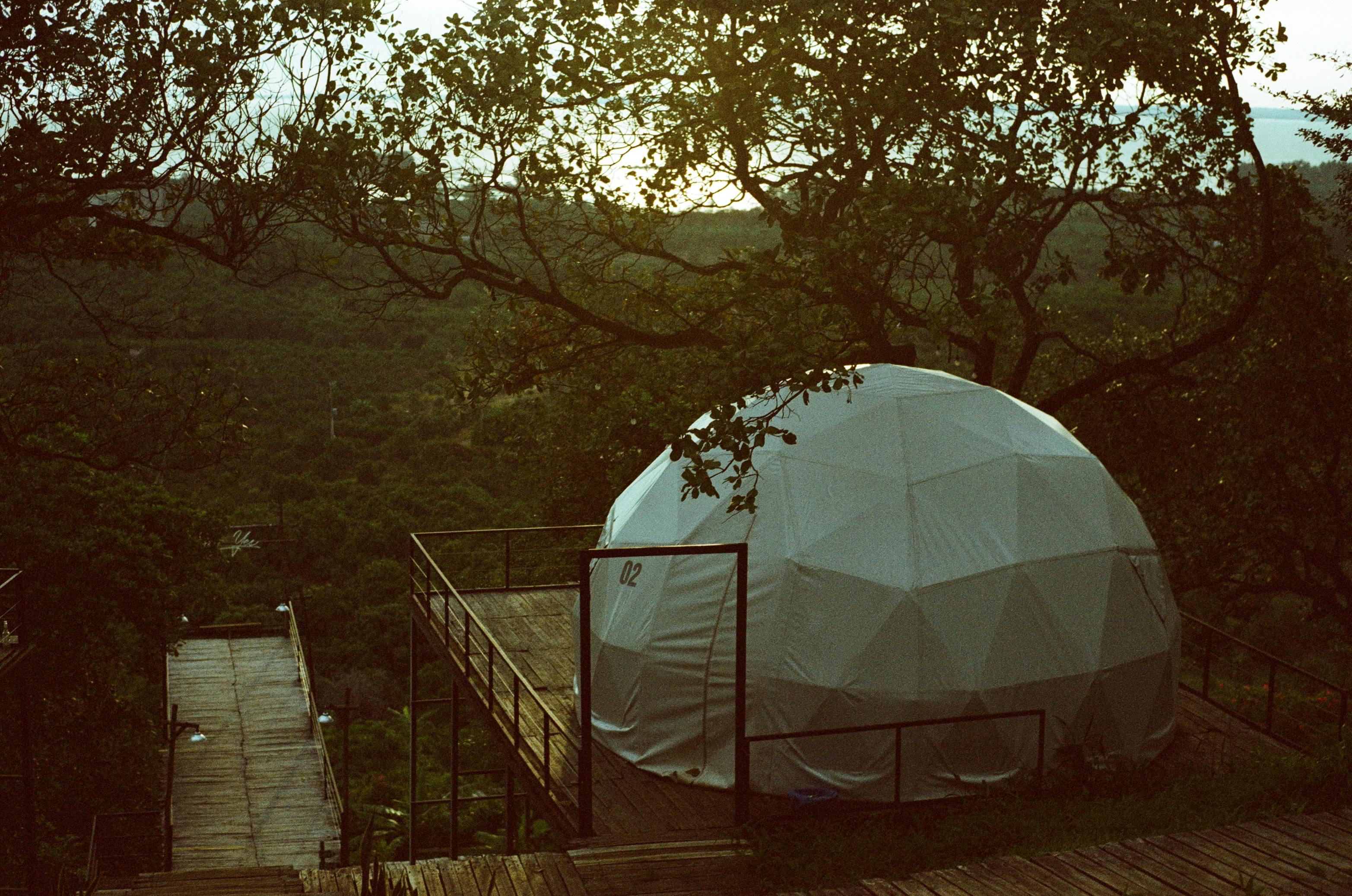 A unique glamping dome in a forest setting - weekend getaways near me