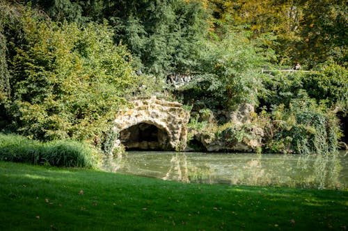 Bridge Covered with Branches by the River