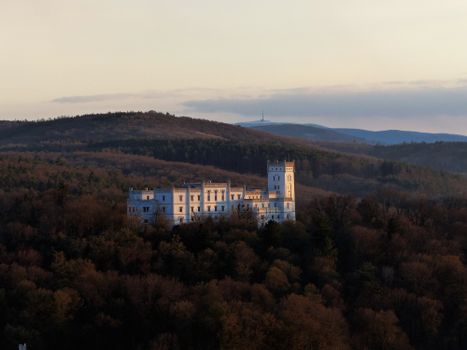 old castle forest
