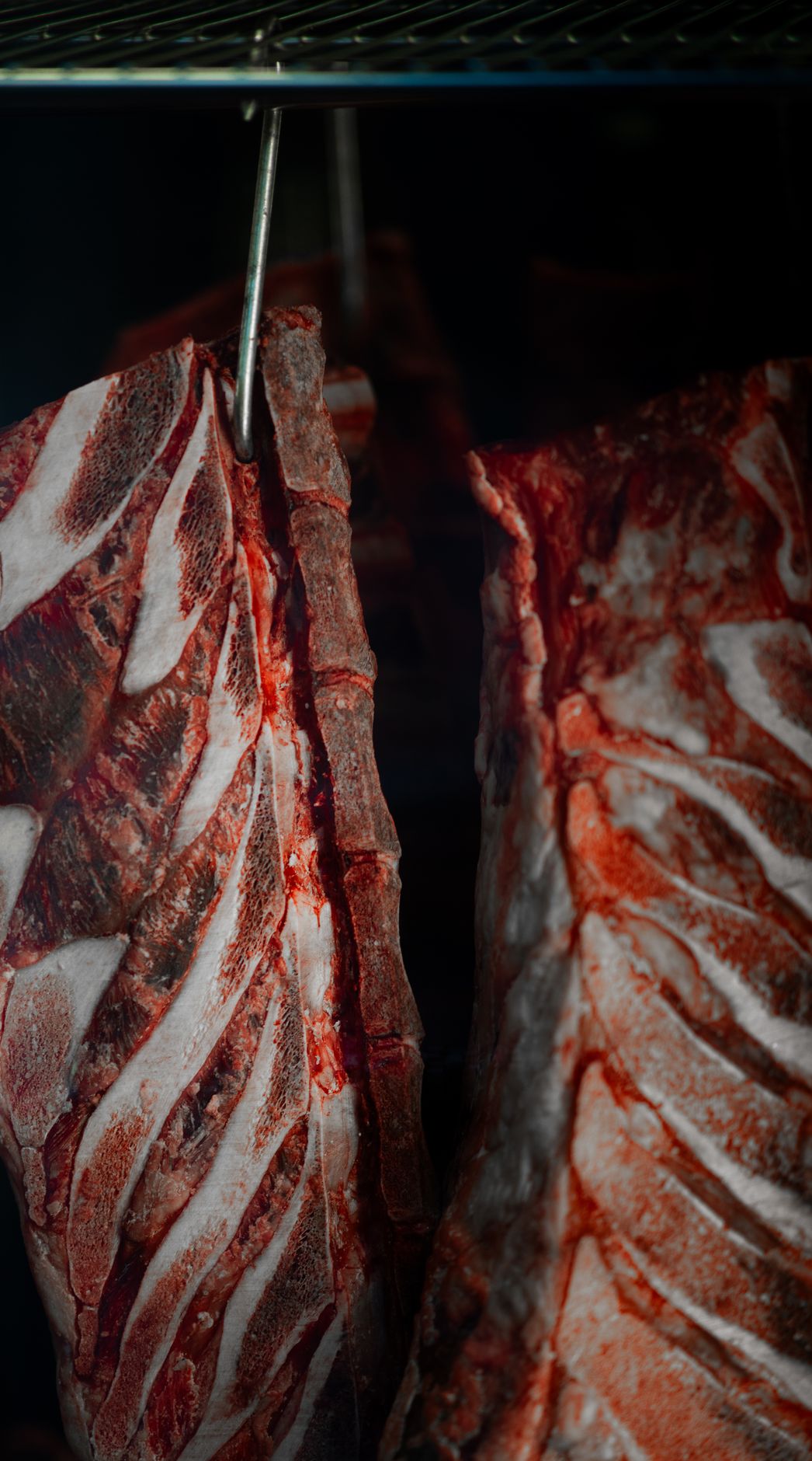 Beef Ribs