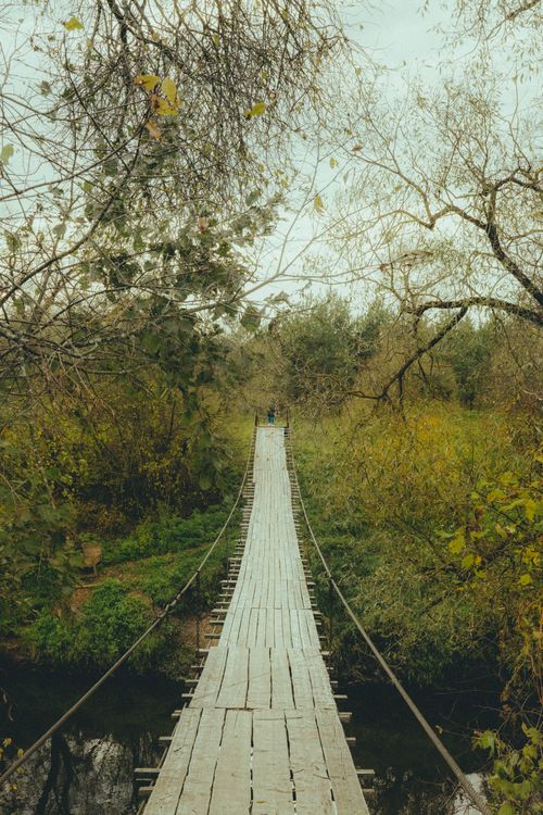 Free A wooden suspension bridge stretches through a vibrant autumn forest, capturing nature's serene beauty. Stock Photo
