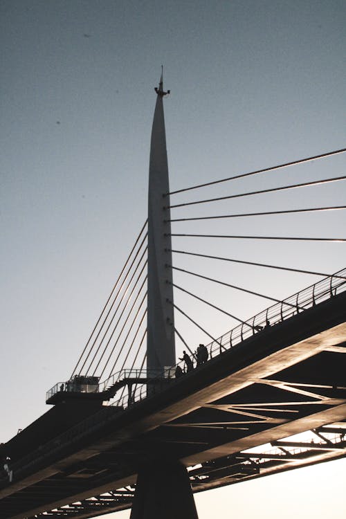 イスタンブール, シティ, ハリック橋の無料の写真素材