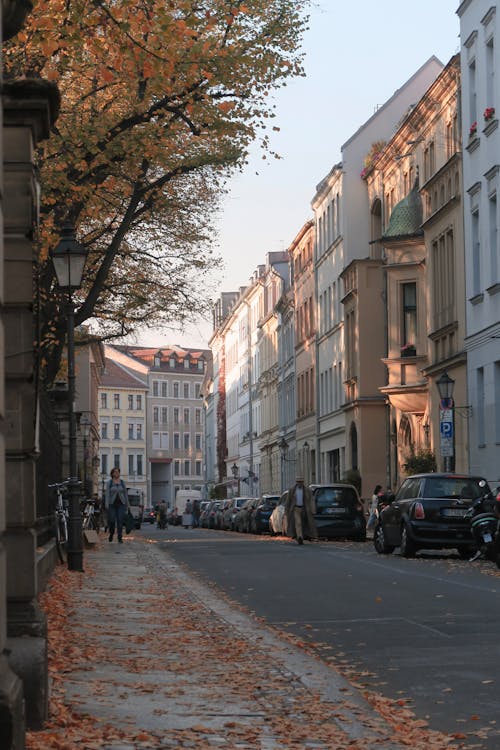 Ingyenes stockfotó autók, berlin, épületek témában