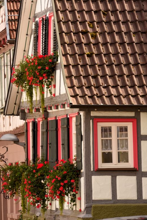 Free Picturesque half-timbered houses with red flowers in Calw, Germany. Stock Photo