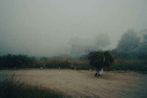 Woman Carrying a Bundle of Grass Along a Dirt Road in the Fog