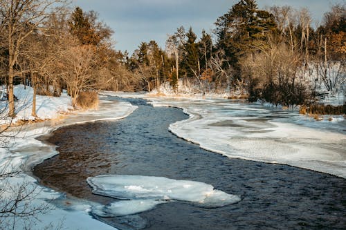 Free stock photo of cold, flow, frozen