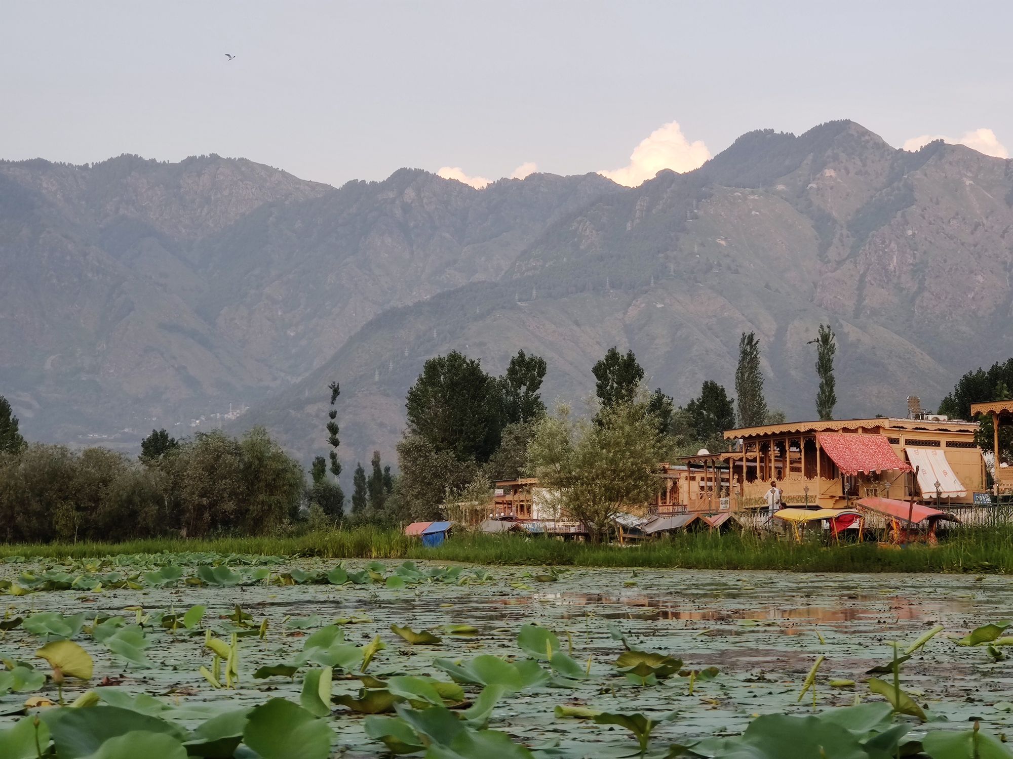 Kashmir Tour Packages Gallery 1