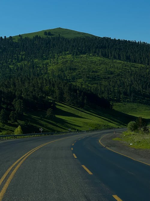 Road in Mountains in Summer