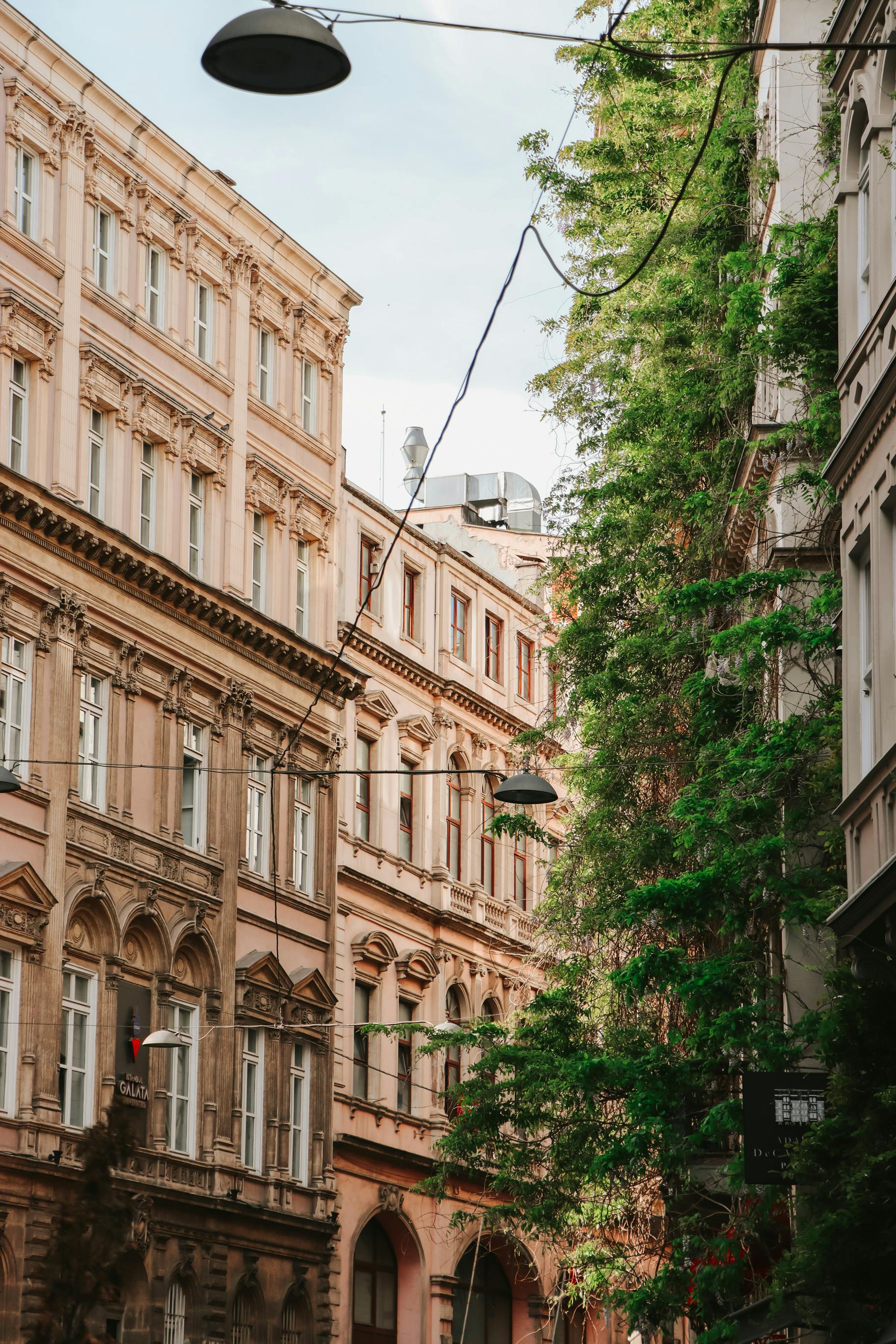 Beautiful European street view with historic buildings and greenery, captured under daylight.