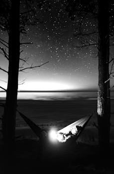A peaceful scene of a hammock under a starry sky at night by the sea, framed by trees.