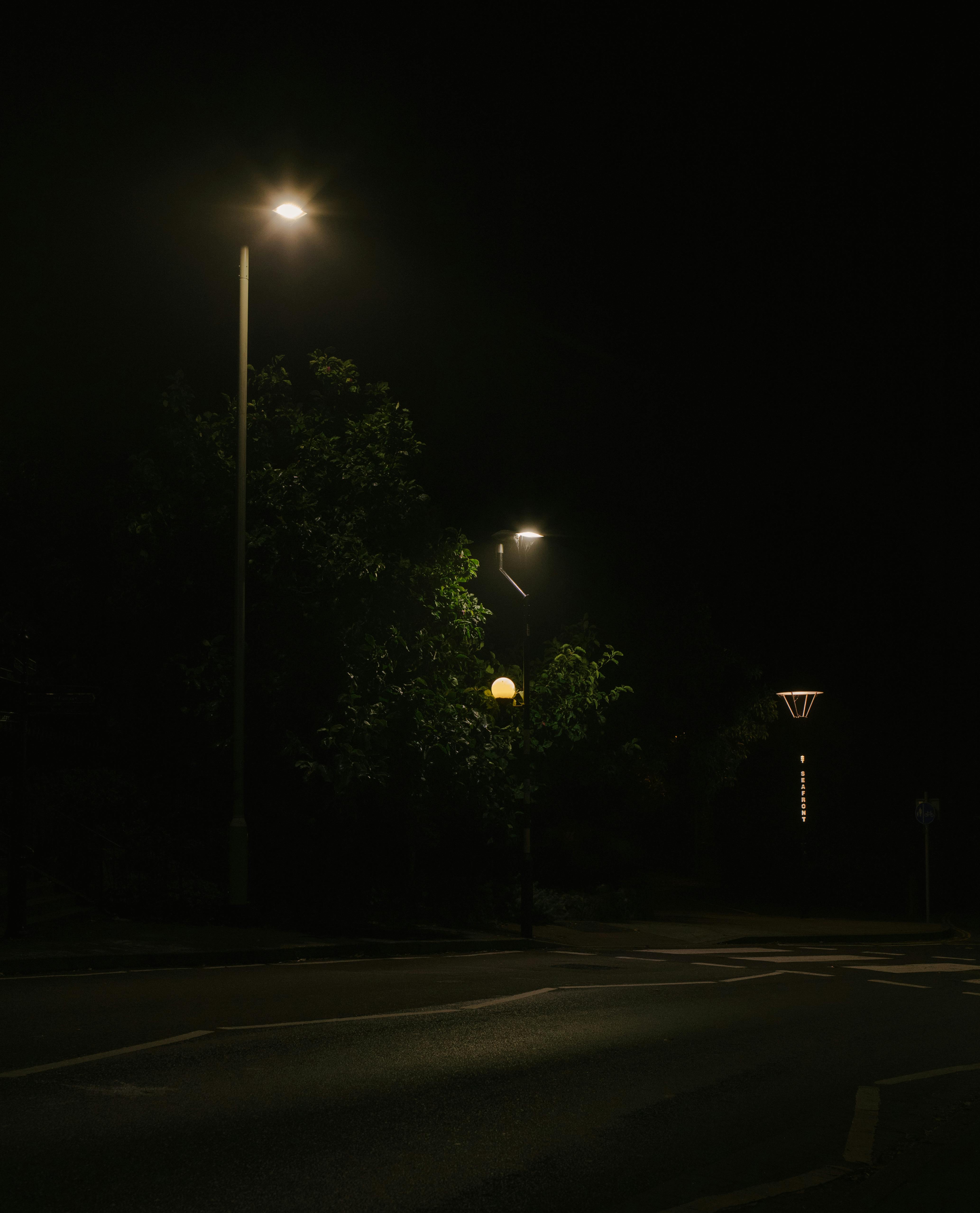 Empty Road Between Trees and Lighted Lamp · Free Stock Photo