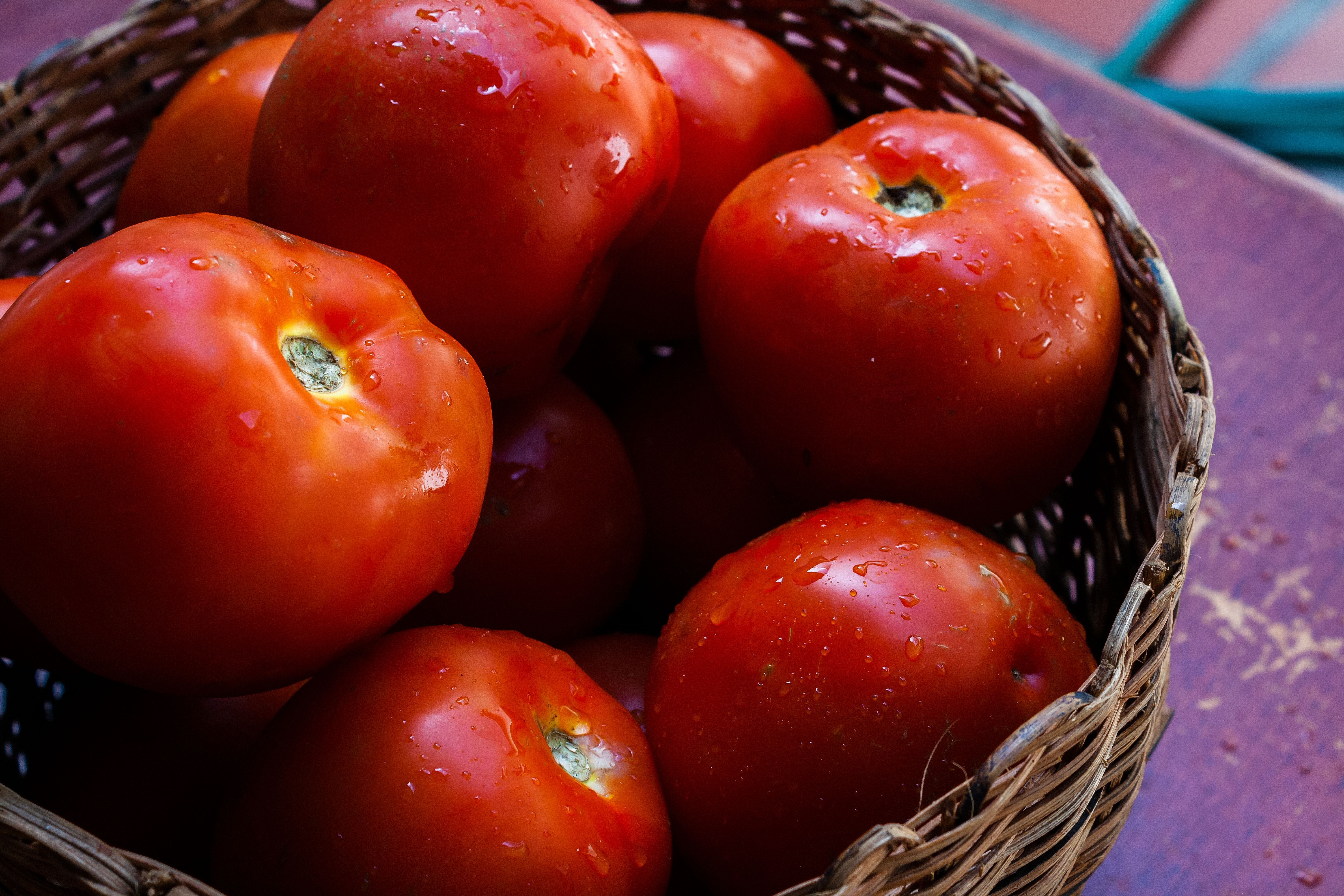 Rotten Tomatoes Awards: Best Movies &amp; TV Winners 2025 — Photo by Arturo Añez. on Pexels
