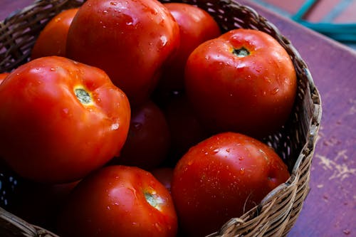 Red Tomatoes in Basket
