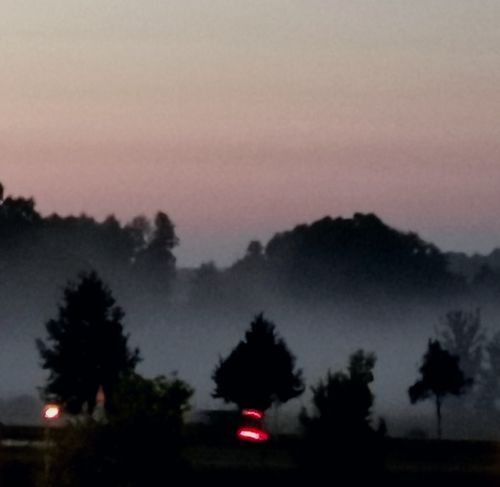 Free stock photo of early morning, fog, foggy morning Stock Photo