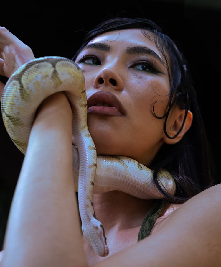 Snake On Woman Arm And Neck