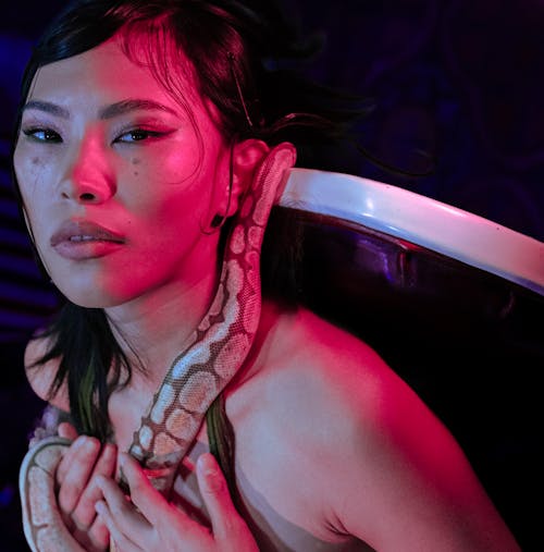 アジアの女性, スクエアフォーマット, ヘビの無料の写真素材