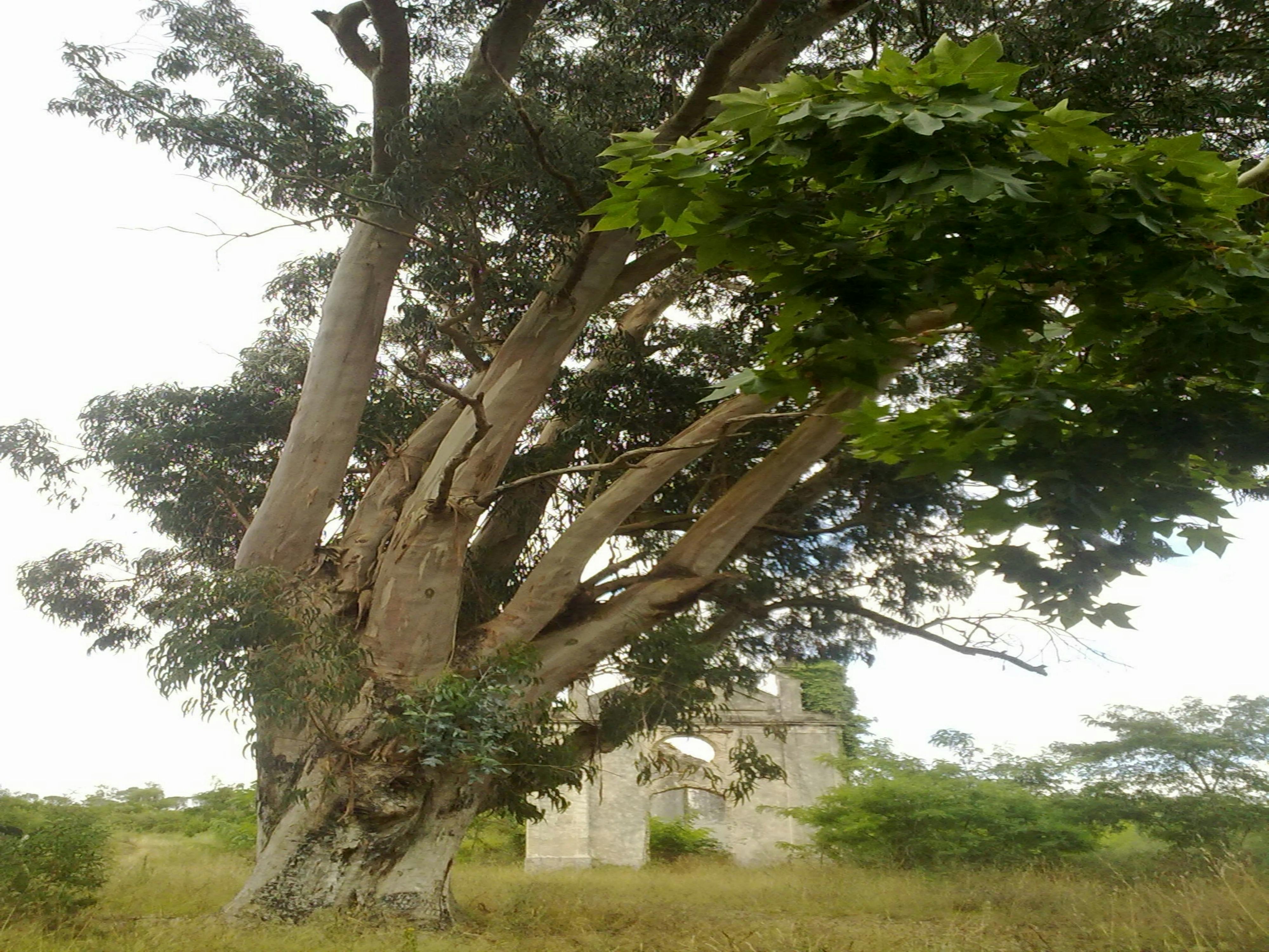 Stroll through Parc des Bastions