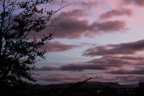 Бесплатное стоковое фото с дерево, небо, облака