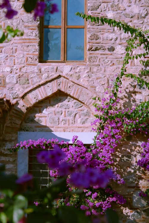 Free Stone wall with windows adorned by vibrant purple bougainvillea in İznik, Türkiye. Stock Photo