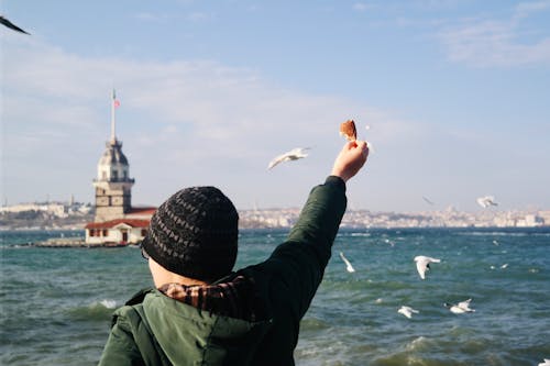 Gratis stockfoto met bosphorus, iemand, Istanbul