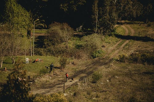 Dirt Road with Allotments around