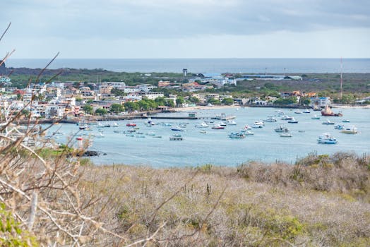 Puerto Ayora, Ecuador photo 2