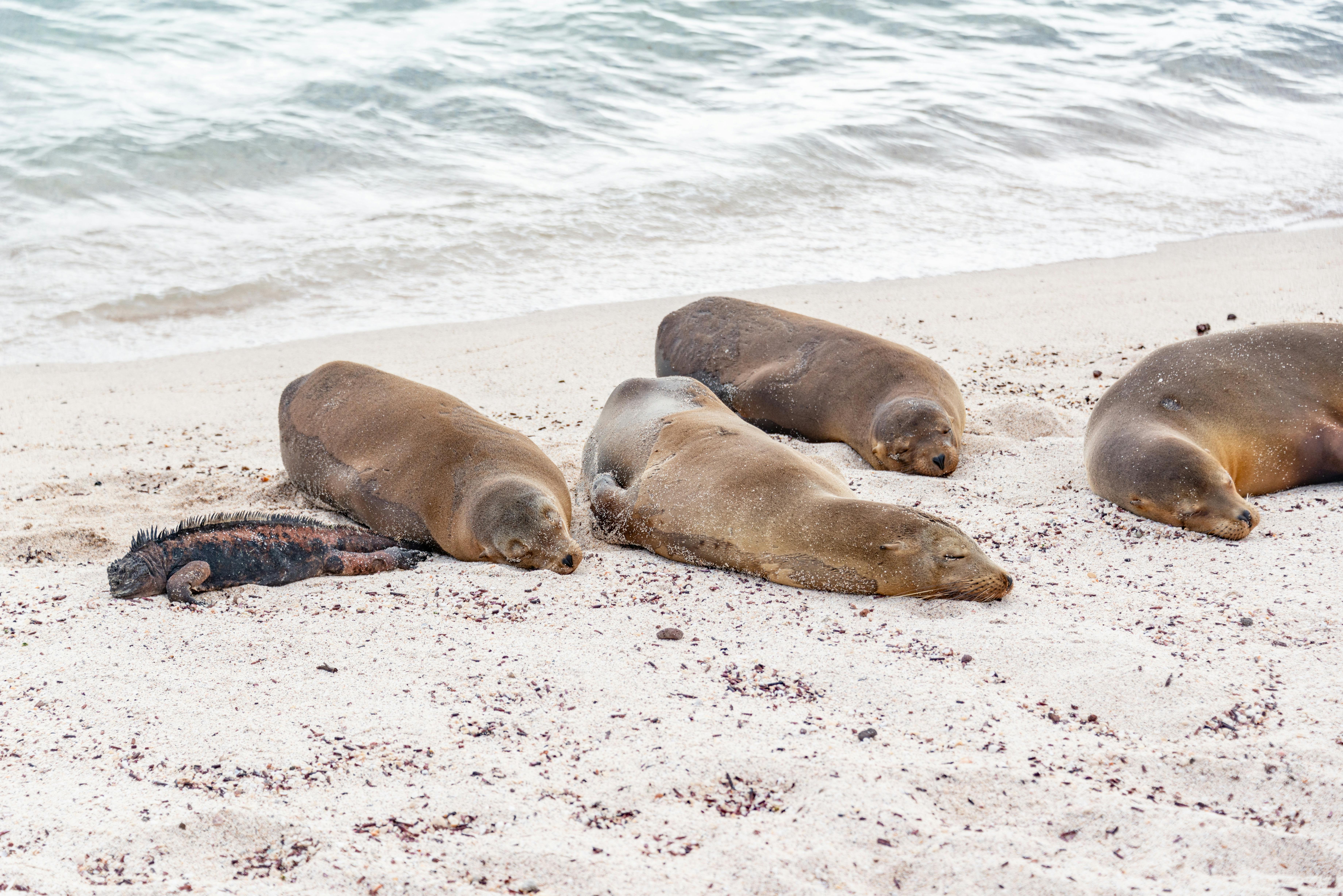 Darwin'in laboratuvarı