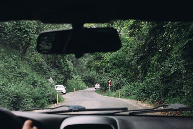 Driving Car Along Road Through Forest In Summer