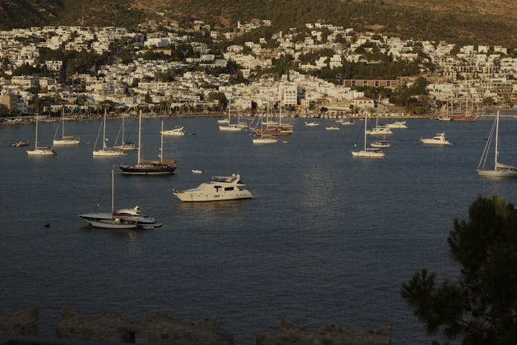 Boats In City Bay