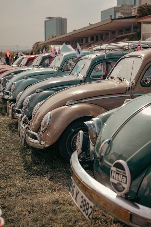 Free Line of classic Volkswagen Beetles displayed at an outdoor car exhibition. Stock Photo
