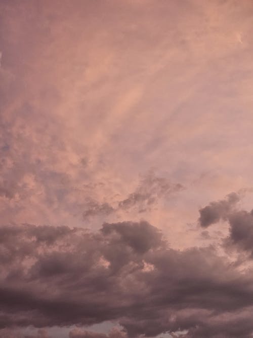 秋の空, 秋の美学, 秋の色の無料の写真素材