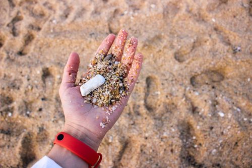 Free A hand with a red bracelet holds sand and pebbles on a beach. Stock Photo