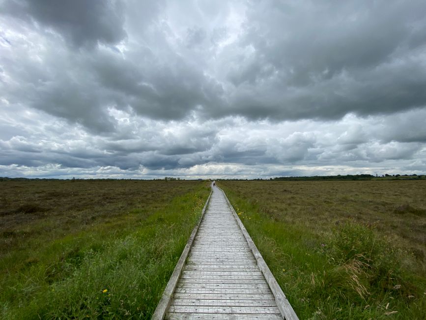 A wooden boardwalk pathway stretching through a vast field under a dramatic cloudy sky.