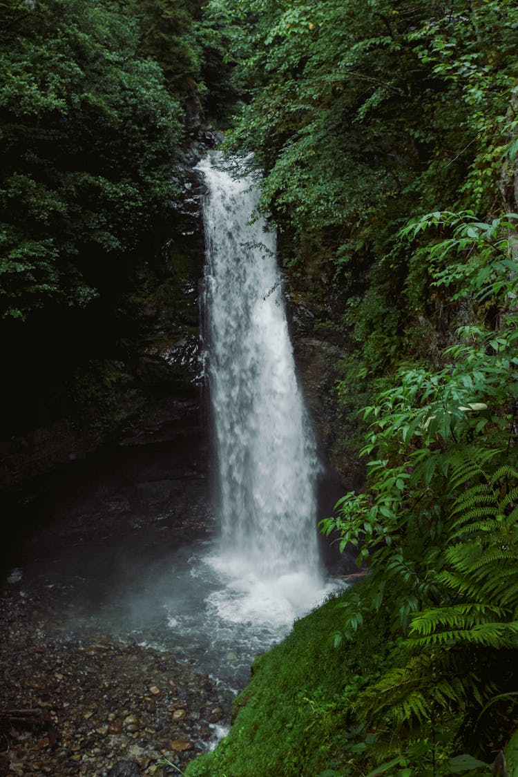 Waterfall In Forest