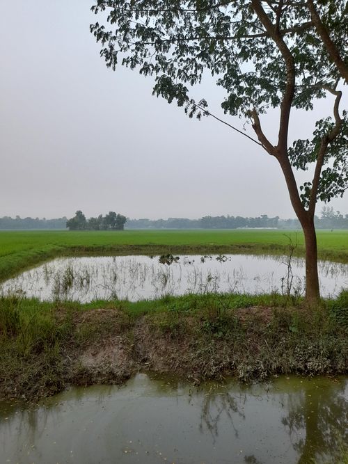Free stock photo of above water, agricultural field, agricultural fields Stock Photo