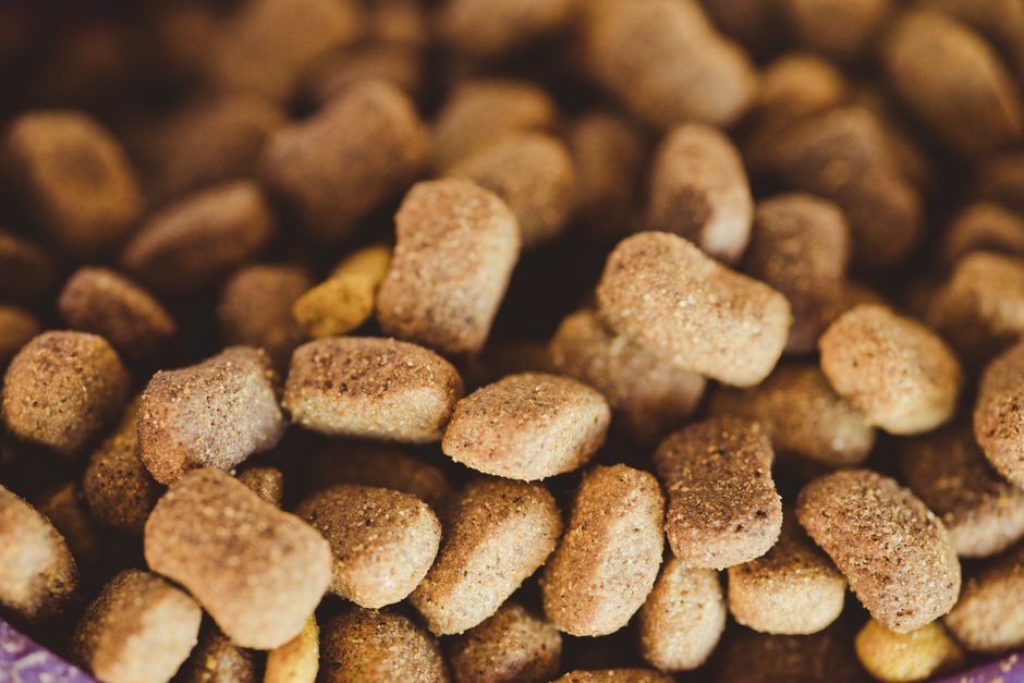 Cellular Agriculture for Cultivated Pet Food Ingredients