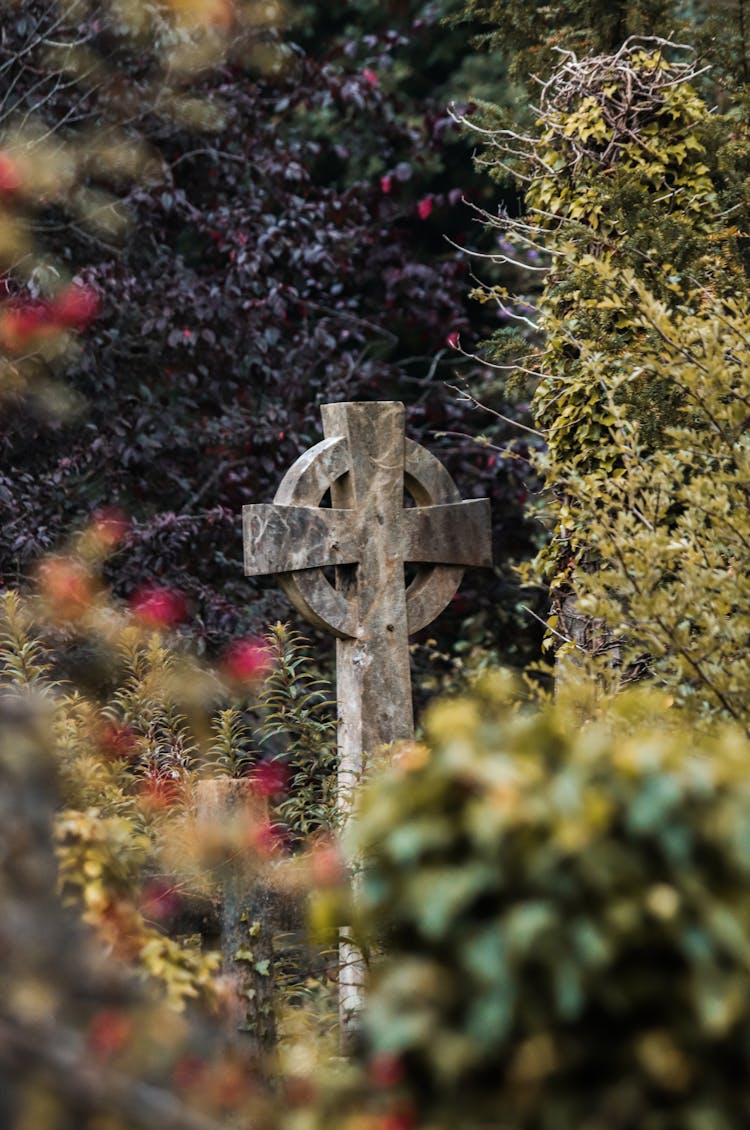 Celtic Stone Cross In A Park